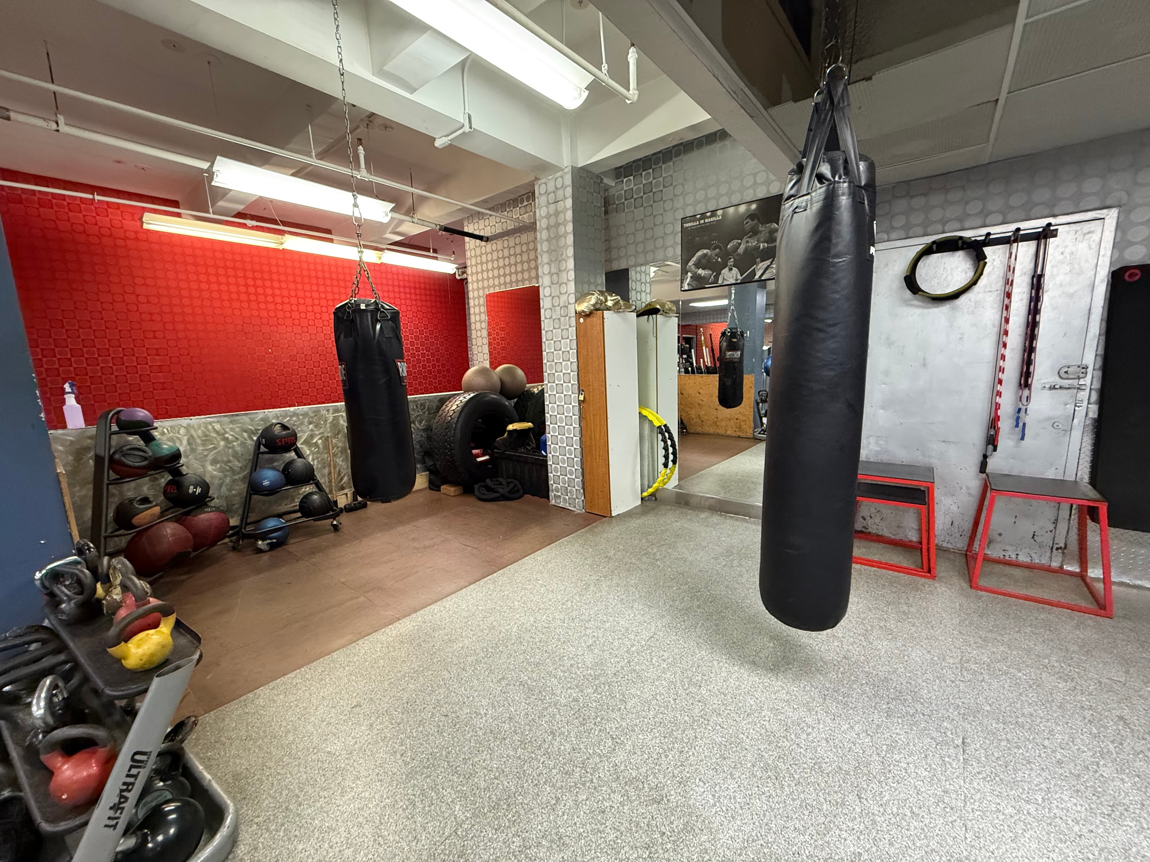 Synergy Fitness Astoria